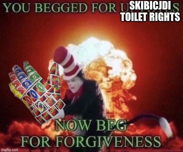 Beg for forgiveness | SKIBICJDI TOILET RIGHTS | image tagged in beg for forgiveness | made w/ Imgflip meme maker