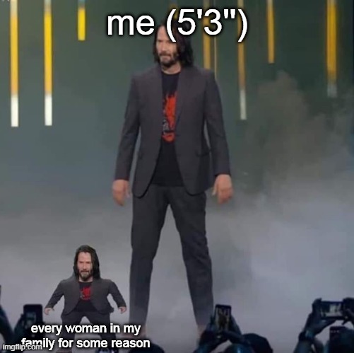 my aunt would unironically call you tall if you're 5'1'' | me (5'3''); every woman in my family for some reason | image tagged in keanu and mini keanu | made w/ Imgflip meme maker