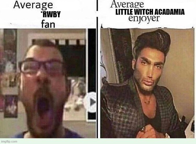 IN MY OPINION | LITTLE WITCH ACADAMIA; *RWBY | image tagged in average blank fan vs average blank enjoyer | made w/ Imgflip meme maker