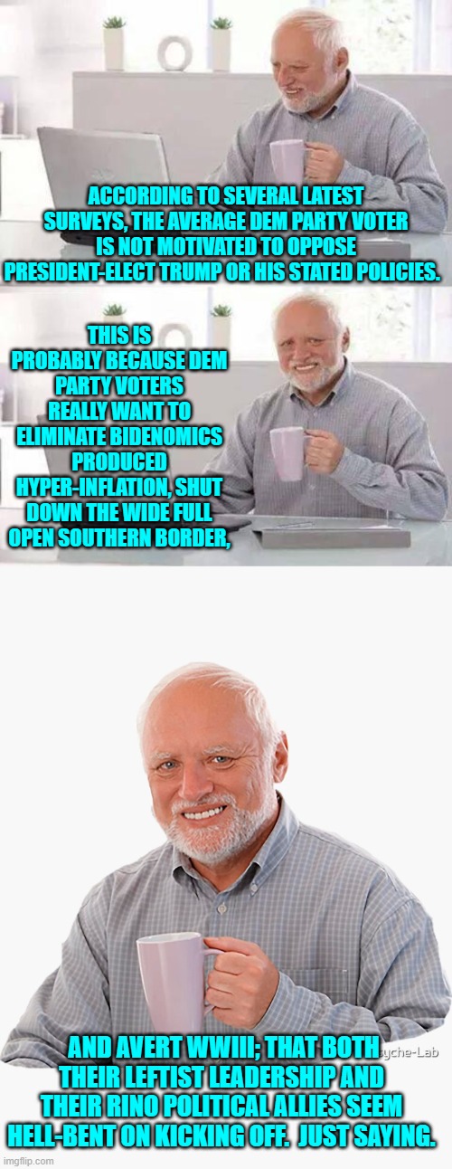 It's just that the average Dem Party voter won't say it -- because of feared leftist retribution. | ACCORDING TO SEVERAL LATEST SURVEYS, THE AVERAGE DEM PARTY VOTER IS NOT MOTIVATED TO OPPOSE PRESIDENT-ELECT TRUMP OR HIS STATED POLICIES. THIS IS PROBABLY BECAUSE DEM PARTY VOTERS REALLY WANT TO ELIMINATE BIDENOMICS PRODUCED HYPER-INFLATION, SHUT DOWN THE WIDE FULL OPEN SOUTHERN BORDER, AND AVERT WWIII; THAT BOTH THEIR LEFTIST LEADERSHIP AND THEIR RINO POLITICAL ALLIES SEEM HELL-BENT ON KICKING OFF.  JUST SAYING. | image tagged in hide the pain harold | made w/ Imgflip meme maker