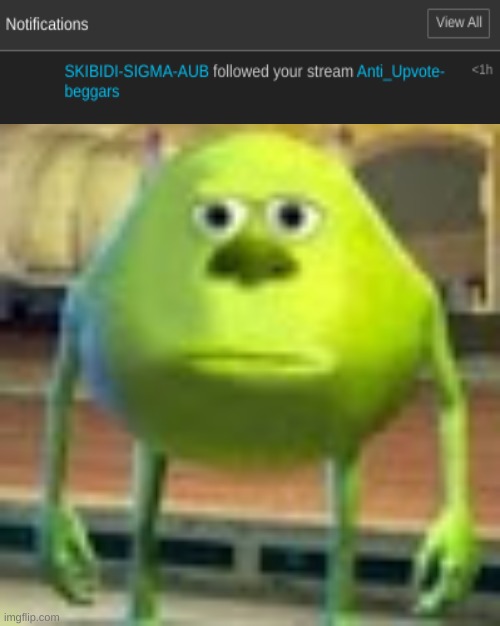 bruh | image tagged in sully wazowski,sigma,idk,why,bro,eeeeeeeeee | made w/ Imgflip meme maker