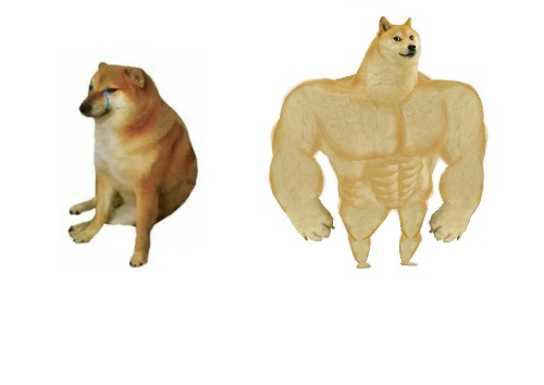 Before After doge Blank Meme Template