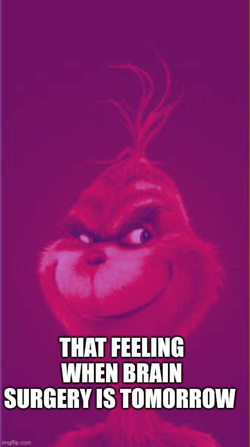 Pink Grinch | THAT FEELING WHEN BRAIN SURGERY IS TOMORROW | made w/ Imgflip meme maker