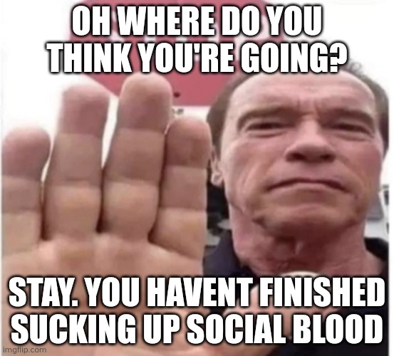 Stereotypes #1: Extrovert to an Introvert | OH WHERE DO YOU THINK YOU'RE GOING? STAY. YOU HAVENT FINISHED SUCKING UP SOCIAL BLOOD | image tagged in stop scrolling arnold | made w/ Imgflip meme maker