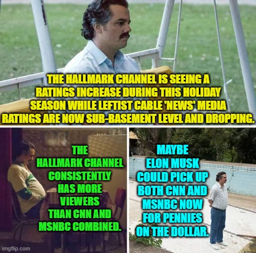 Go ahead Elon, and break out your pocket change. | THE HALLMARK CHANNEL IS SEEING A RATINGS INCREASE DURING THIS HOLIDAY SEASON WHILE LEFTIST CABLE 'NEWS' MEDIA RATINGS ARE NOW SUB-BASEMENT LEVEL AND DROPPING. THE HALLMARK CHANNEL CONSISTENTLY HAS MORE VIEWERS THAN CNN AND MSNBC COMBINED. MAYBE ELON MUSK COULD PICK UP BOTH CNN AND MSNBC NOW FOR PENNIES ON THE DOLLAR. | image tagged in yep | made w/ Imgflip meme maker