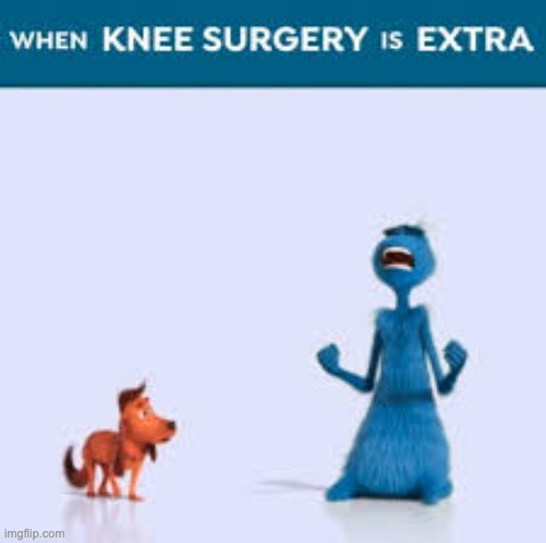 when knee surgery is extra | image tagged in the blue grinch,memes,funny,the grinch,knee surgery,oh wow are you actually reading these tags | made w/ Imgflip meme maker