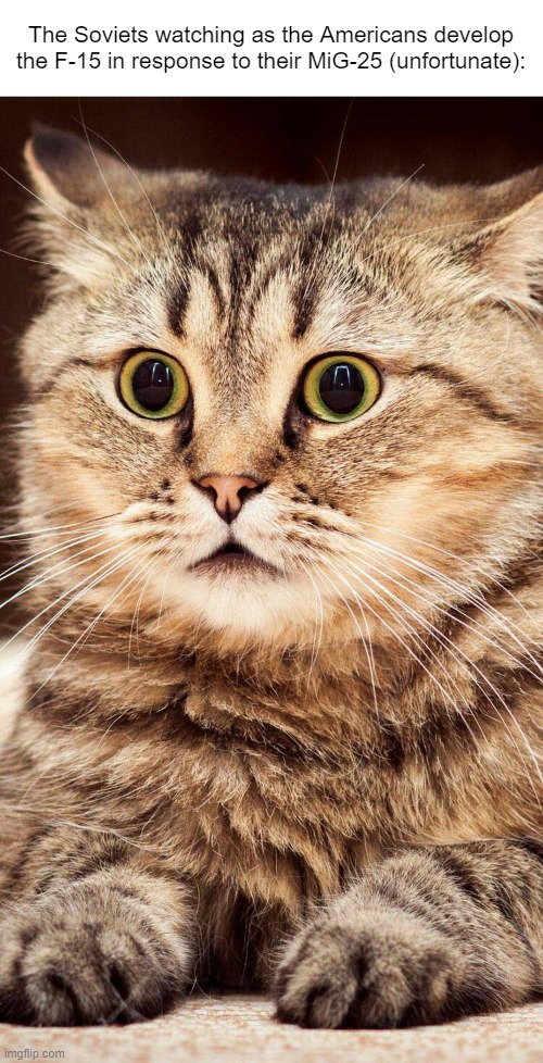 oh nyet | The Soviets watching as the Americans develop the F-15 in response to their MiG-25 (unfortunate): | image tagged in shocked cat,f-15 | made w/ Imgflip meme maker