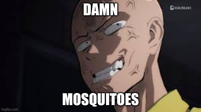 Saitama | DAMN MOSQUITOES | image tagged in saitama | made w/ Imgflip meme maker