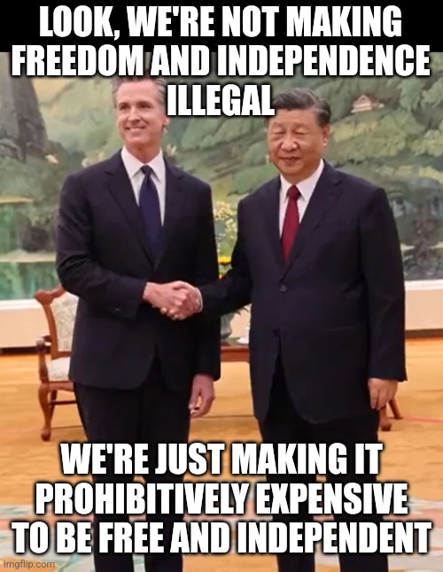 Gruesome Newsom | LOOK, WE'RE NOT MAKING
FREEDOM AND INDEPENDENCE
ILLEGAL WE'RE JUST MAKING IT PROHIBITIVELY EXPENSIVE TO BE FREE AND INDEPENDENT | image tagged in gruesome newsom | made w/ Imgflip meme maker