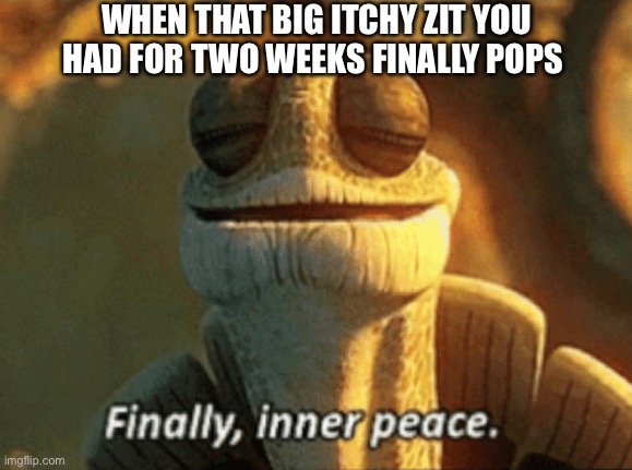 Does anyone else find this satisfying? | WHEN THAT BIG ITCHY ZIT YOU HAD FOR TWO WEEKS FINALLY POPS | image tagged in finally inner peace,memes,funny,pop,ahhhhh,oh wow are you actually reading these tags | made w/ Imgflip meme maker