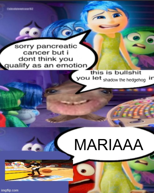 i dont even know | shadow the hedgehog; MARIAAA | image tagged in sorry pancreatic cancer but i don t think you qualify as an emot | made w/ Imgflip meme maker