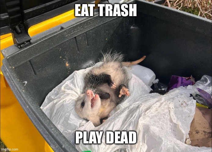 Eat trash, play dead - Imgflip