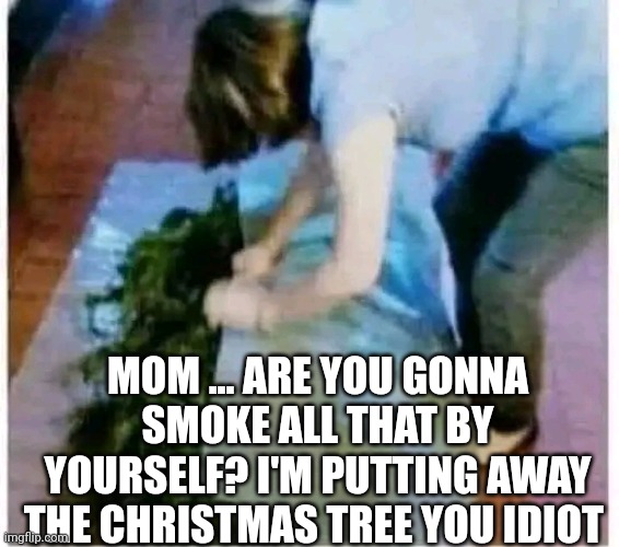 Mom Are You Gonna Smoke All That By Yourself? I'm Putting Away The Christmas Tree You Idiot | MOM ... ARE YOU GONNA SMOKE ALL THAT BY YOURSELF? I'M PUTTING AWAY THE CHRISTMAS TREE YOU IDIOT | image tagged in chris joines | made w/ Imgflip meme maker