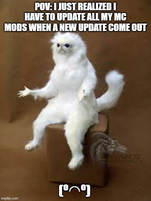 MC mods | POV: I JUST REALIZED I HAVE TO UPDATE ALL MY MC MODS WHEN A NEW UPDATE COME OUT; (º◠º) | image tagged in minecraft,why,pov meme | made w/ Imgflip meme maker