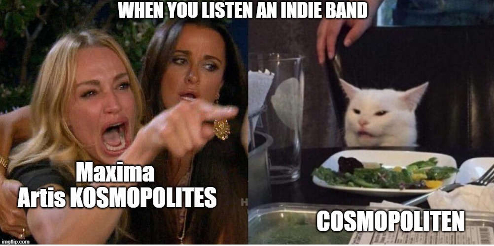 WHEN YOU LISTEN TO AN INDIE BAND | WHEN YOU LISTEN AN INDIE BAND; Maxima
 Artis KOSMOPOLITES; COSMOPOLITEN | image tagged in salad cat | made w/ Imgflip meme maker