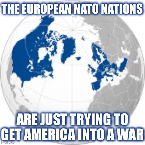 They Want to Use Our Military Lives to Fight for their Cause | THE EUROPEAN NATO NATIONS; ARE JUST TRYING TO GET AMERICA INTO A WAR | image tagged in nato,new normal,liberal logic,stupid liberals,european union,ukraine | made w/ Imgflip meme maker