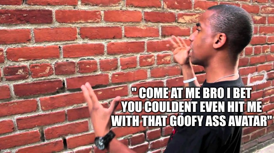 Talking to wall | " COME AT ME BRO I BET YOU COULDENT EVEN HIT ME WITH THAT GOOFY ASS AVATAR" | image tagged in talking to wall | made w/ Imgflip meme maker