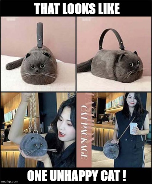 A Furry Fashion Accessory ! | THAT LOOKS LIKE; ONE UNHAPPY CAT ! | image tagged in cats,handbag | made w/ Imgflip meme maker