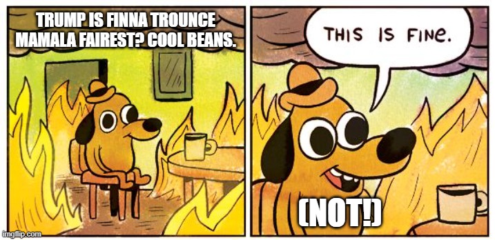 This Is Fine | TRUMP IS FINNA TROUNCE MAMALA FAIREST? COOL BEANS. (NOT!) | image tagged in memes,this is fine | made w/ Imgflip meme maker