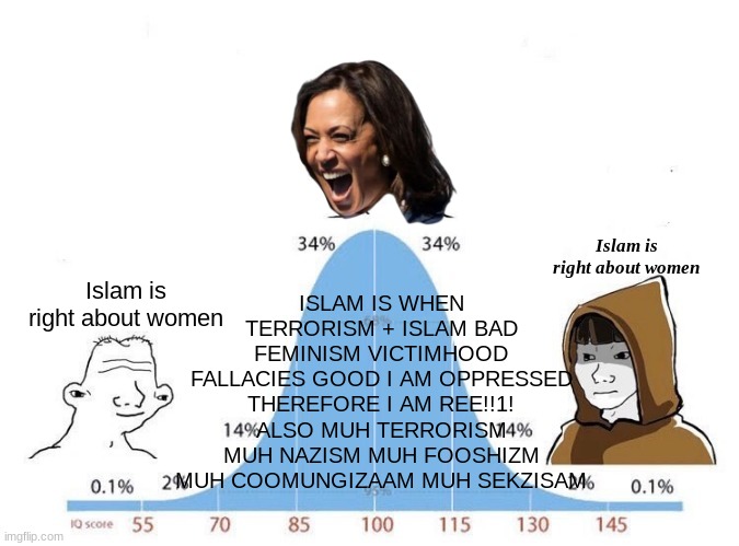 Bell Curve | ISLAM IS WHEN TERRORISM + ISLAM BAD FEMINISM VICTIMHOOD FALLACIES GOOD I AM OPPRESSED THEREFORE I AM REE!!1!
ALSO MUH TERRORISM MUH NAZISM MUH FOOSHIZM MUH COOMUNGIZAAM MUH SEKZISAM; Islam is right about women; Islam is right about women | image tagged in bell curve | made w/ Imgflip meme maker