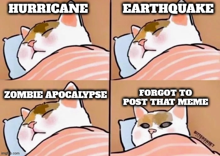 HURRICANE          EARTHQUAKE ZOMBIE APOCALYPSE FORGOT TO POST THAT MEME | made w/ Imgflip meme maker