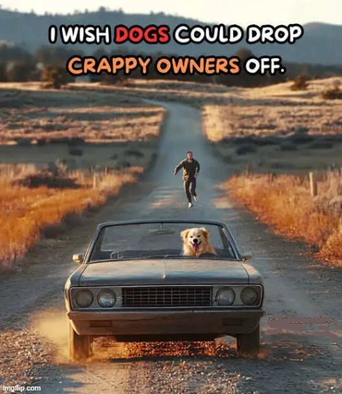 Imagine dropping off your best friend | image tagged in dogs,man's best friend,sad but true,i love dogs | made w/ Imgflip meme maker