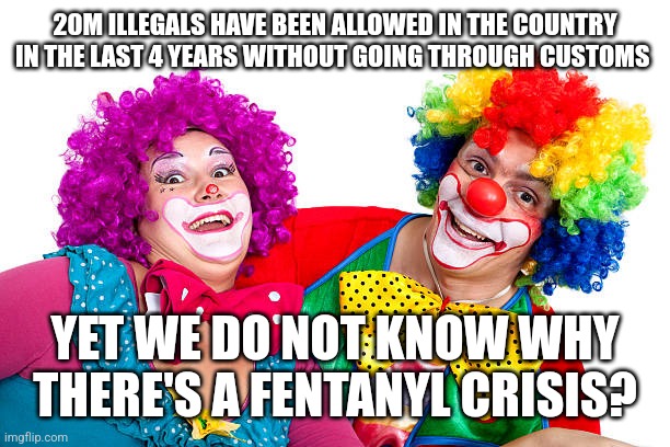 20M ILLEGALS HAVE BEEN ALLOWED IN THE COUNTRY IN THE LAST 4 YEARS WITHOUT GOING THROUGH CUSTOMS; YET WE DO NOT KNOW WHY THERE'S A FENTANYL CRISIS? | image tagged in funny memes | made w/ Imgflip meme maker