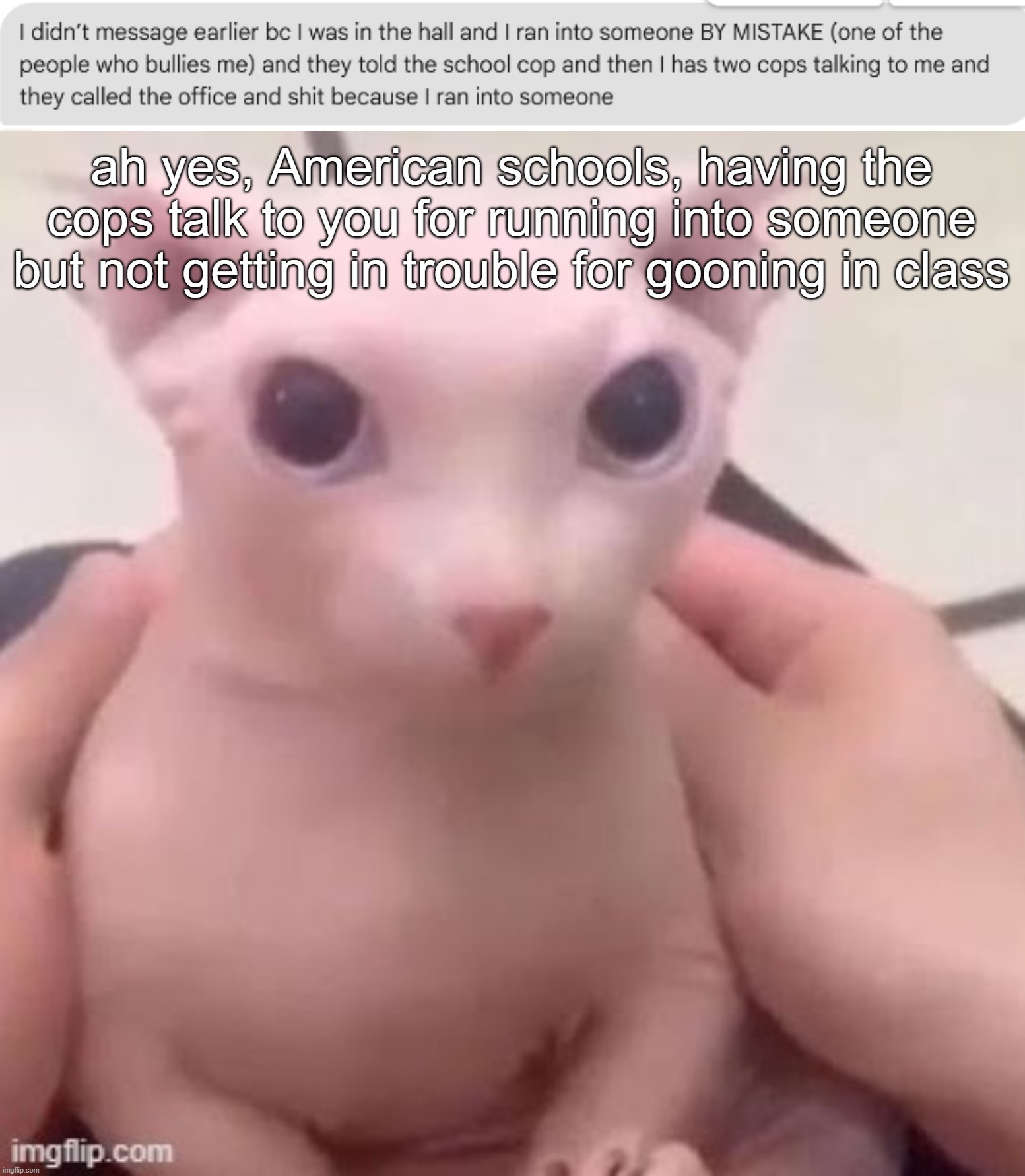 stupidity at it's finest | ah yes, American schools, having the cops talk to you for running into someone but not getting in trouble for gooning in class | image tagged in bingus | made w/ Imgflip meme maker