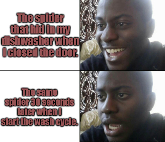 Dishwasher Spider | The spider that hid in my dishwasher when I closed the door. The same spider 30 seconds later when I start the wash cycle. | image tagged in happy / shock | made w/ Imgflip meme maker