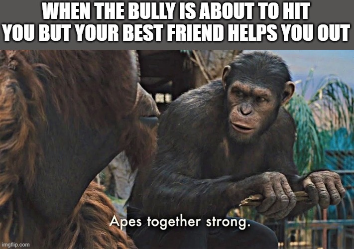 best friend forever | WHEN THE BULLY IS ABOUT TO HIT YOU BUT YOUR BEST FRIEND HELPS YOU OUT | image tagged in ape together strong,best friends | made w/ Imgflip meme maker