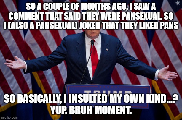 bruh moment for lgtv+ | SO A COUPLE OF MONTHS AGO, I SAW A COMMENT THAT SAID THEY WERE PANSEXUAL, SO I (ALSO A PANSEXUAL) JOKED THAT THEY LIKED PANS; SO BASICALLY, I INSULTED MY OWN KIND...?
YUP. BRUH MOMENT. | image tagged in donald trump,bruh moment,certified bruh moment,bruh,bruhh,lgbtq | made w/ Imgflip meme maker