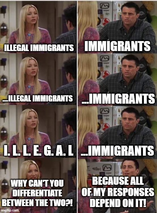 Every conversation on illegal immigration issues with liberals | ILLEGAL IMMIGRANTS; IMMIGRANTS; ...IMMIGRANTS; ....ILLEGAL IMMIGRANTS; I. L. L. E. G. A. L; ...IMMIGRANTS; BECAUSE ALL OF MY RESPONSES DEPEND ON IT! WHY CAN'T YOU DIFFERENTIATE BETWEEN THE TWO?! | image tagged in phoebe joey | made w/ Imgflip meme maker