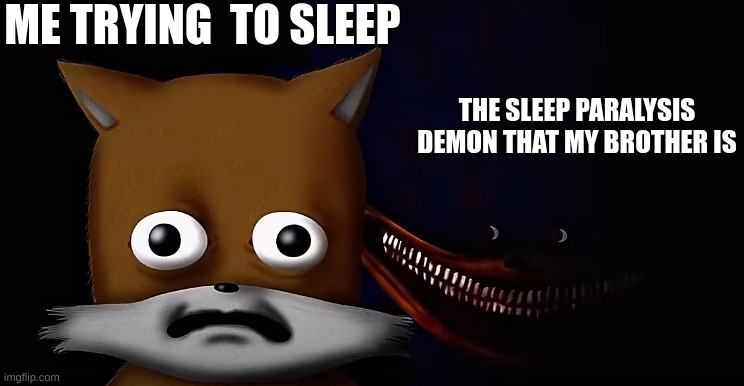 Um... Connor? That you? | ME TRYING  TO SLEEP; THE SLEEP PARALYSIS DEMON THAT MY BROTHER IS | image tagged in shin sonic above tails | made w/ Imgflip meme maker