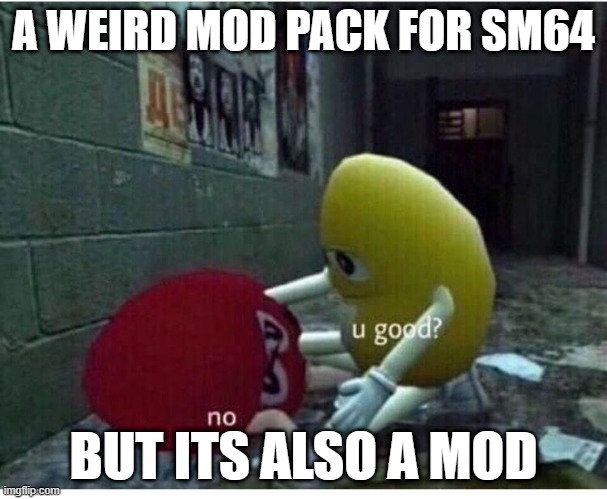 U Good No | A WEIRD MOD PACK FOR SM64; BUT ITS ALSO A MOD | image tagged in u good no | made w/ Imgflip meme maker