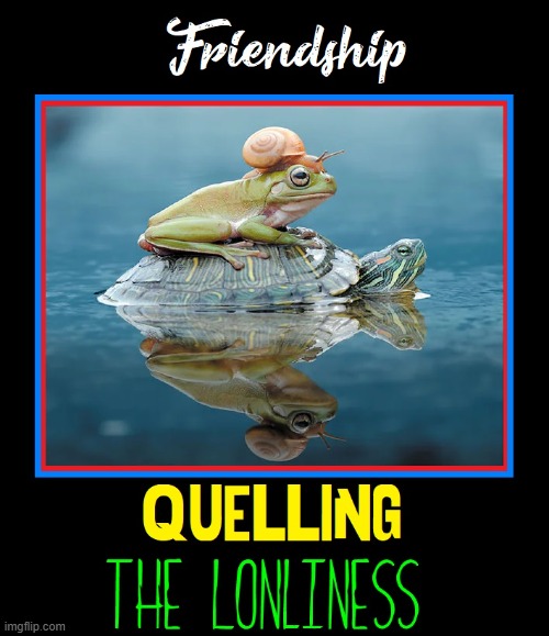 Friendship | image tagged in vince vance,friends,turtle,frog,snail,funny animal meme | made w/ Imgflip meme maker