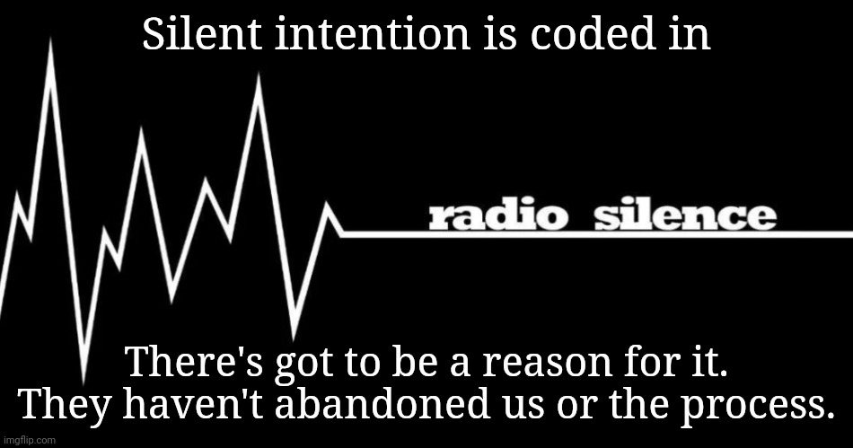 Silence is Intended | Silent intention is coded in; There's got to be a reason for it.
They haven't abandoned us or the process. | image tagged in silence,dnc,msnbc,kamala harris,joe biden | made w/ Imgflip meme maker