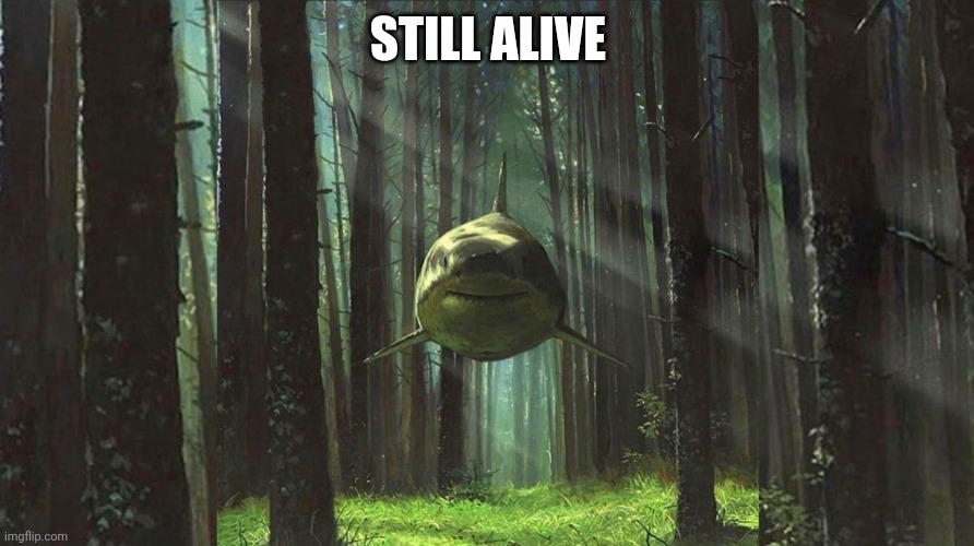 shark in forest | STILL ALIVE | image tagged in shark in forest | made w/ Imgflip meme maker