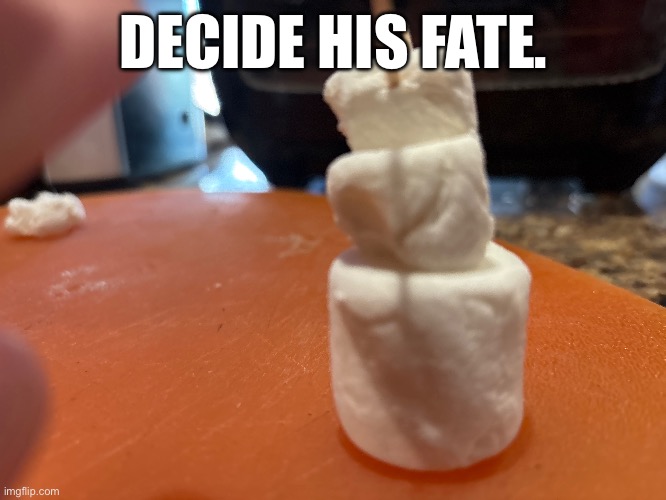 DECIDE HIS FATE. | made w/ Imgflip meme maker