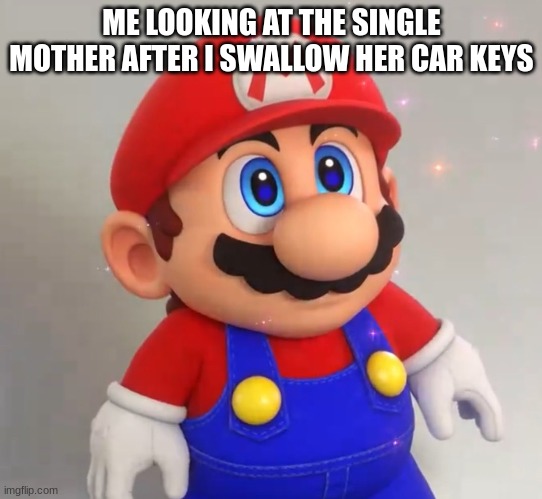 relatable am i right | ME LOOKING AT THE SINGLE MOTHER AFTER I SWALLOW HER CAR KEYS | image tagged in rpg mario | made w/ Imgflip meme maker