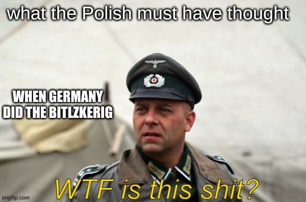 WTF is this shit | what the Polish must have thought; WHEN GERMANY DID THE BITLZKERIG | image tagged in wtf is this shit | made w/ Imgflip meme maker