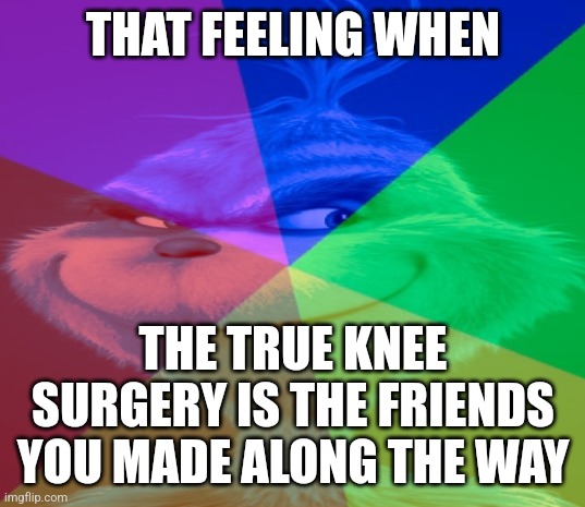 THAT FEELING WHEN; THE TRUE KNEE SURGERY IS THE FRIENDS YOU MADE ALONG THE WAY | image tagged in grinch,knee surgery,memes,christmas,the grinch,funny memes | made w/ Imgflip meme maker