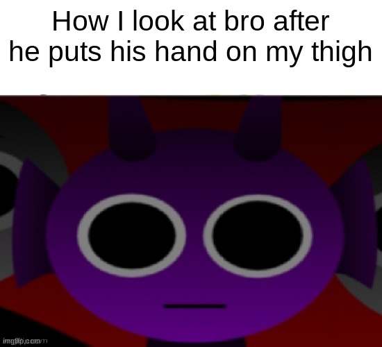 Durple Stare at you (without text) | How I look at bro after he puts his hand on my thigh | image tagged in durple stare at you without text,bro | made w/ Imgflip meme maker