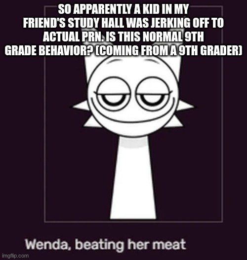 Smug ahh look | SO APPARENTLY A KID IN MY FRIEND'S STUDY HALL WAS JERKING OFF TO ACTUAL PRN. IS THIS NORMAL 9TH GRADE BEHAVIOR? (COMING FROM A 9TH GRADER) | image tagged in smug ahh look | made w/ Imgflip meme maker