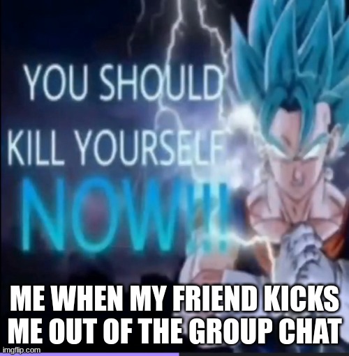 Vegito | ME WHEN MY FRIEND KICKS ME OUT OF THE GROUP CHAT | image tagged in vegito kys,meme | made w/ Imgflip meme maker