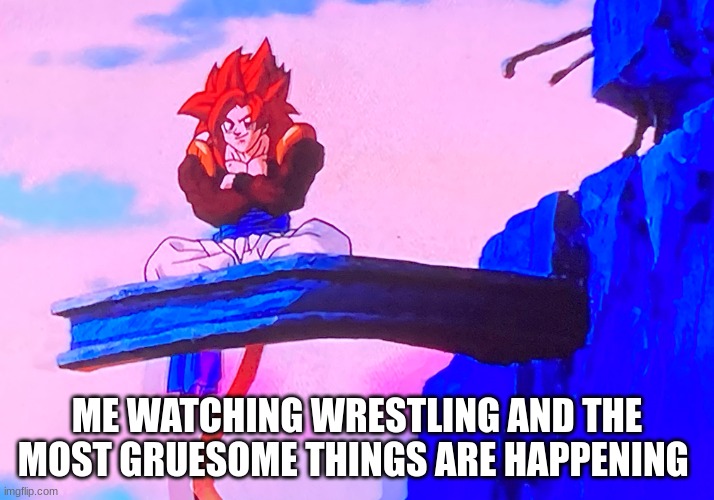 , | ME WATCHING WRESTLING AND THE MOST GRUESOME THINGS ARE HAPPENING | image tagged in ssj4 gogeta sitting | made w/ Imgflip meme maker