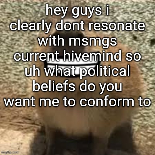 goofy ass capybara | hey guys i clearly dont resonate with msmgs current hivemind so uh what political beliefs do you want me to conform to | image tagged in goofy ass capybara | made w/ Imgflip meme maker