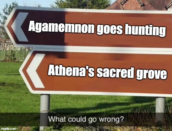 What could go wrong | Agamemnon goes hunting; Athena's sacred grove | image tagged in what could go wrong | made w/ Imgflip meme maker