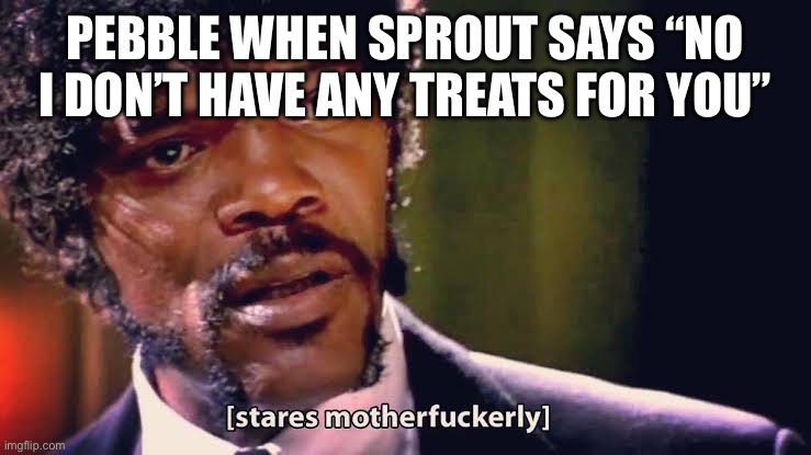 Samuel Jackson stares mother-ly | PEBBLE WHEN SPROUT SAYS “NO I DON’T HAVE ANY TREATS FOR YOU” | image tagged in samuel jackson stares mother-ly | made w/ Imgflip meme maker