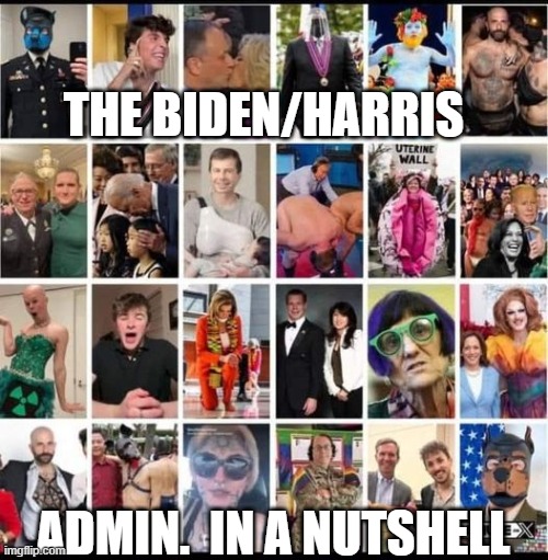 The Biden/Harris Admin in a NUTshell | THE BIDEN/HARRIS; ADMIN.  IN A NUTSHELL | image tagged in the biden/harris admin in a nutshell | made w/ Imgflip meme maker