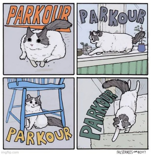 Parkour Cato | image tagged in parkour,cats,cat,animal,comics,comics/cartoons | made w/ Imgflip meme maker